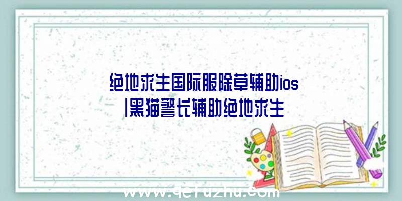 「绝地求生国际服除草辅助ios」|黑猫警长辅助绝地求生